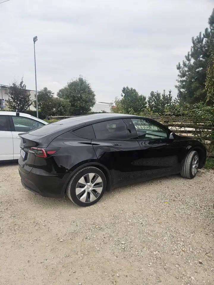 Tesla Model Y Long Range Single Motor rwd — photo 1 of 7
