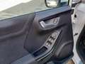 Ford Puma 1.5 EcoBlue 120 CV S&S Titanium Bianco - thumbnail 12
