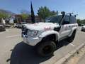 Nissan Patrol Patrol GR Elegance Elegance Weiß - thumbnail 2