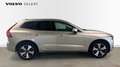 Volvo XC60 Plus Dark T6 AWD Hybride | Adapt Cruise | Lightpac Beige - thumbnail 5