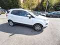 Ford EcoSport EcoSport 1.5 tdci Titanium S 95cv Bianco - thumbnail 11