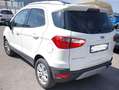 Ford EcoSport EcoSport 1.5 tdci Titanium S 95cv Bianco - thumbnail 8