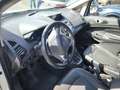 Ford EcoSport EcoSport 1.5 tdci Titanium S 95cv Bianco - thumbnail 9