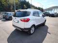 Ford EcoSport EcoSport 1.5 tdci Titanium S 95cv Bianco - thumbnail 3