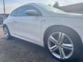 Volkswagen Scirocco 1.4 tsi 122cv - thumbnail 8