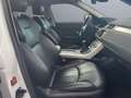 Land Rover Range Rover Evoque 2.0L TD4 Diesel 110kW 150CV 4x4 SE Blanc - thumbnail 12