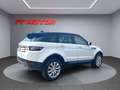 Land Rover Range Rover Evoque 2.0L TD4 Diesel 110kW 150CV 4x4 SE Blanc - thumbnail 6