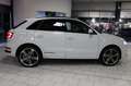 Audi Q3 2.0 Sport S-line Quattro|PANO|LED|ROTOR| Weiß - thumbnail 6