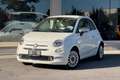 Fiat 500 500 1.0 hybrid Lounge 70cv Bianco - thumbnail 1
