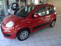 Fiat Panda Panda/Pandina 1.2 Lounge Bronze - thumbnail 1