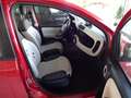 Fiat Panda Panda/Pandina 1.2 Lounge Bronze - thumbnail 4