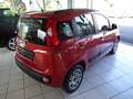 Fiat Panda Panda/Pandina 1.2 Lounge Bronze - thumbnail 15