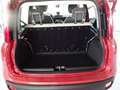 Fiat Panda Panda/Pandina 1.2 Lounge Bronze - thumbnail 6