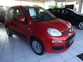 Fiat Panda Panda/Pandina 1.2 Lounge Bronze - thumbnail 3
