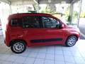 Fiat Panda Panda/Pandina 1.2 Lounge Bronze - thumbnail 2