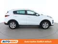 Kia Sportage 1.6 CRDi Mild-Hybrid Gold 2WD Weiß - thumbnail 7