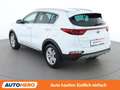 Kia Sportage 1.6 CRDi Mild-Hybrid Gold 2WD Weiß - thumbnail 4