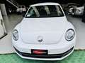 Volkswagen Maggiolino Maggiolino 1.6 tdi Design 105cv Bianco - thumbnail 3