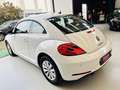 Volkswagen Maggiolino Maggiolino 1.6 tdi Design 105cv Bianco - thumbnail 5