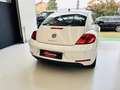 Volkswagen Maggiolino Maggiolino 1.6 tdi Design 105cv Bianco - thumbnail 6