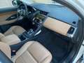 Jaguar E-Pace 1.5 P160 Hybrid S fwd Auto UNI PRO PARI AL NUOVO! Blanco - thumbnail 18