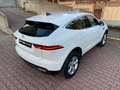 Jaguar E-Pace 1.5 P160 Hybrid S fwd Auto UNI PRO PARI AL NUOVO! Weiß - thumbnail 5