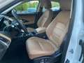 Jaguar E-Pace 1.5 P160 Hybrid S fwd Auto UNI PRO PARI AL NUOVO! Blanco - thumbnail 19