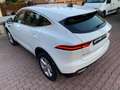 Jaguar E-Pace 1.5 P160 Hybrid S fwd Auto UNI PRO PARI AL NUOVO! Blanco - thumbnail 7