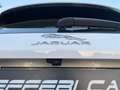 Jaguar E-Pace 1.5 P160 Hybrid S fwd Auto UNI PRO PARI AL NUOVO! Weiß - thumbnail 15