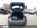 Mercedes-Benz A 250 e  PROGRESSIVE+AHK+CARPLAY+RF.-KAMERA+AMBI Grau - thumbnail 13