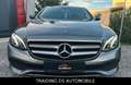 Mercedes-Benz E 220 Lim. AVANTGARDE/ AMBIENTE / AHK / GARANTIE Gris - thumbnail 8