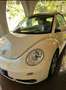 Volkswagen New Beetle Cabrio 1.9 tdi 105cv tagliandi cert Bej - thumbnail 8