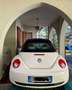 Volkswagen New Beetle Cabrio 1.9 tdi 105cv tagliandi cert Beige - thumbnail 4