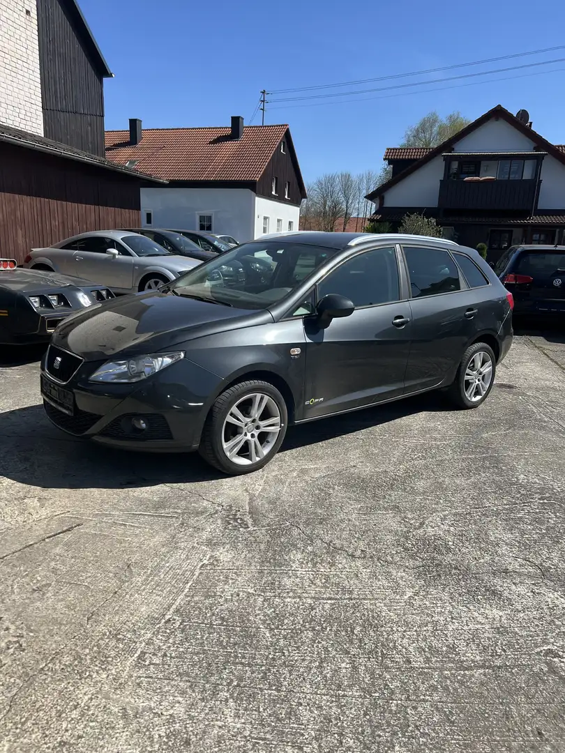 SEAT Ibiza Copa Gris - 2