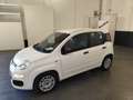 Fiat Panda Panda 1.0 FireFly S&S Hybrid Blanc - thumbnail 1