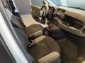Fiat Panda Panda 1.0 FireFly S&S Hybrid Blanc - thumbnail 12
