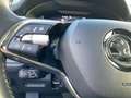 Skoda Kodiaq Tour 4x4 2.0 TDI AHK Navi DigiCock LED ACC El. Hec Schwarz - thumbnail 20