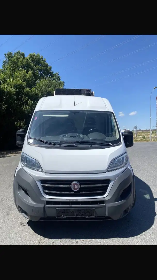 Fiat Ducato Maxi L4 kühlwagen Weiß - 2