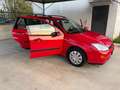 Ford Focus 1.6i 16V cat SW Ambiente PRONTA CONSEGNA OK NEOP Rojo - thumbnail 41