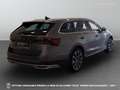 Skoda Octavia 4ª serie - Octavia 2.0 TDI EVO SCR 150 CV DSG 4x4 Grigio - thumbnail 7
