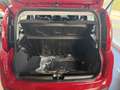 Fiat Panda Panda 1.0 FireFly S&S Hybrid Rot - thumbnail 11