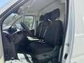Toyota Proace Max 2.2-l-D 35 L3H3 Heavy Work Weiß - thumbnail 7