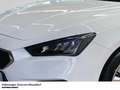 SEAT Leon Sportstourer 1.0 TSI Reference Einparkhilfe Blanc - thumbnail 5