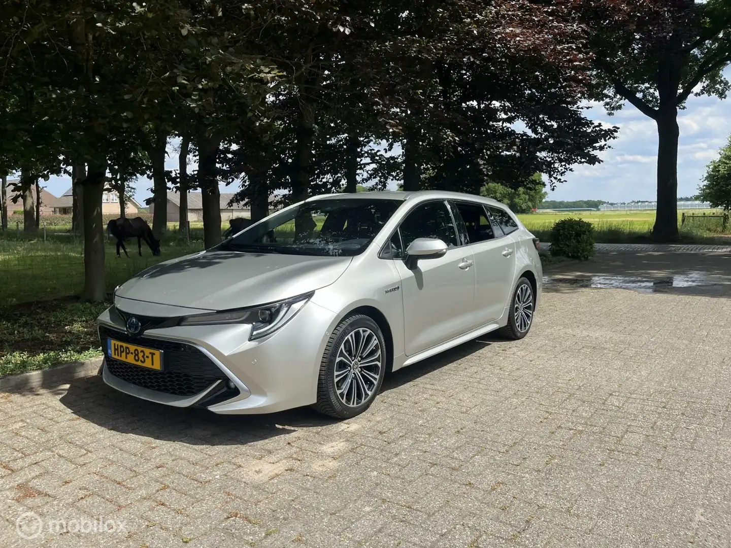 Toyota Corolla Touring Sports 1.8 Hybrid Executive all in Gri - 1