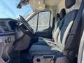 Ford Transit 350 2.0TDCi EcoBlue 170CV PL-SL-TA Furg.JumboTrend Weiß - thumbnail 10