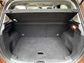 Ford B-Max 1.0 Titanium *TÜV 01/27 *Keyless Go *PDC *Top Maro - thumbnail 12