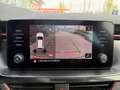 Skoda Kamiq MONTE CARLO TSI DSG Grau - thumbnail 19