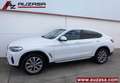 BMW X4 xDrive 20dA xLine Blanco - thumbnail 19