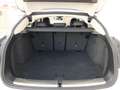 BMW X4 xDrive 20dA xLine Blanco - thumbnail 20