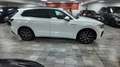 Volkswagen Touareg 3.0TDI V6 R-Line Tiptronic 4Motion 170kW Blanco - thumbnail 7